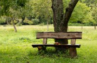 ein Bild aus dem Album