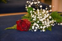 ein Bild aus dem Album